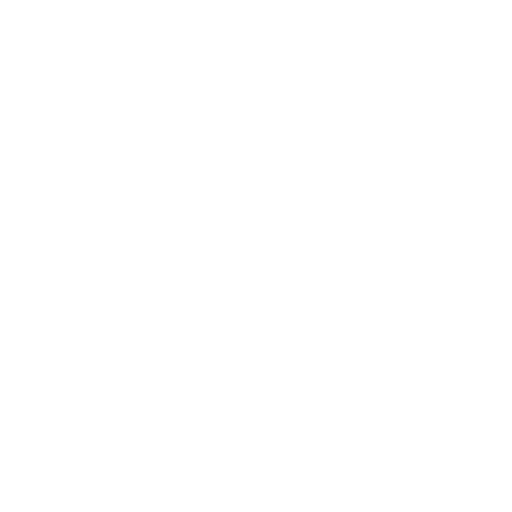 Loupe Icon